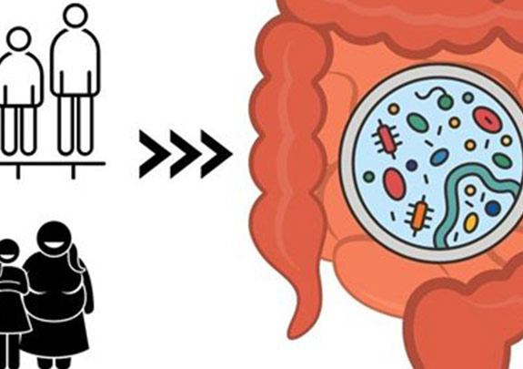 Darmmikrobiom grafisch dargestellt. © DLR. Alle Rechte vorbehalten.